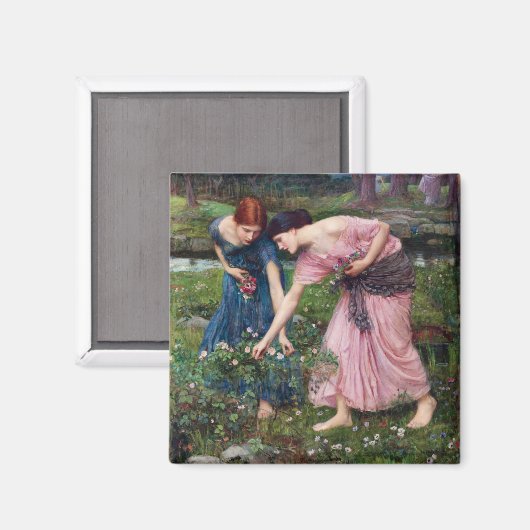 Ladys Picking Rose, John William Waterhouse Magnet (Vorderseite/Rückseite)
