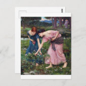 Ladys Picking Rose, John William Waterhouse Postkarte (Vorne/Hinten)