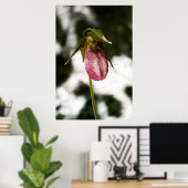 Lady's Slipper #8299 Print Poster (Heimbüro)
