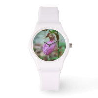 Lady's Slipper