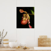 Lady's-Slipper Orchid Art Print -20x24 - oder klei Poster (Küche)