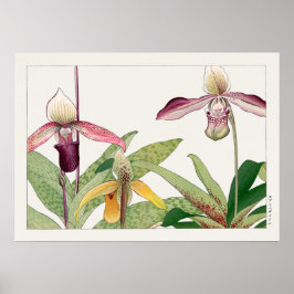 Lady's Slipper Orchid Blume von Tanigami Konan, Poster