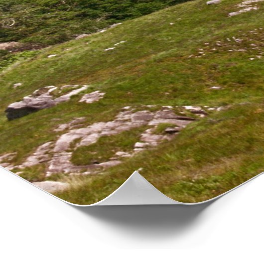 Ladys View Poster (Ecke)