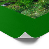 Ladys View Poster (Ecke)