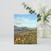 Ladys View Postkarte (Stehend Vorderseite)