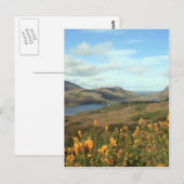 Ladys View Postkarte (Vorne/Hinten)