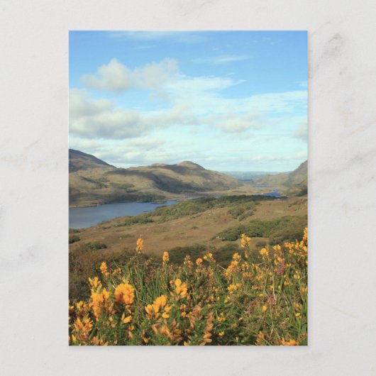 Ladys View Postkarte (Vorderseite)