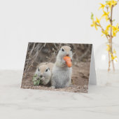 Ladys Who Lunch Grußkarte Karte (Gelbe Blume)