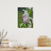 Ladyslipper im Regen Poster (Küche)