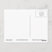 Ladyslipper Postkarte (Rückseite)