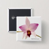 Laelia Ancep Button (Vorne & Hinten)