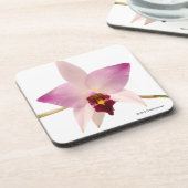 Laelia Ancep Getränkeuntersetzer (Linke Seite)