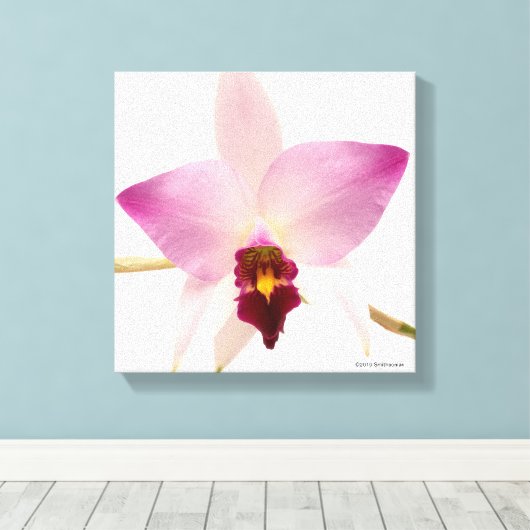 Laelia Ancep Leinwanddruck (Insitu (Holzboden))