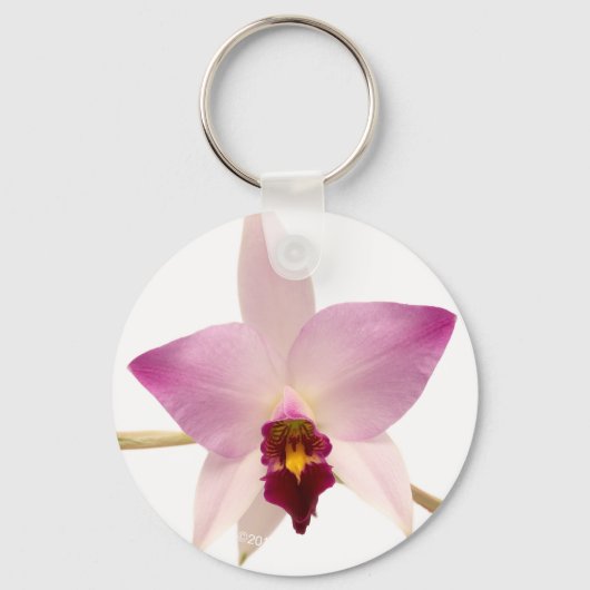 Laelia Ancep Schlüsselanhänger (Vorderseite)