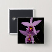 Laelia Anceps Button (Vorne & Hinten)