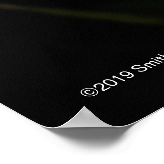 Laelia Anceps Poster (Ecke)