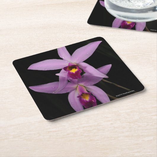 Laelia Anceps Rechteckiger Pappuntersetzer (angewinkelt)