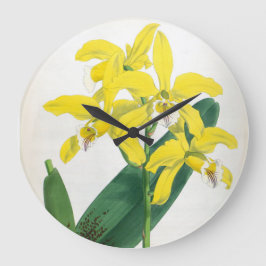 Laelia Xanthina Vintag Gelbe Lindenia Orchid Große Wanduhr