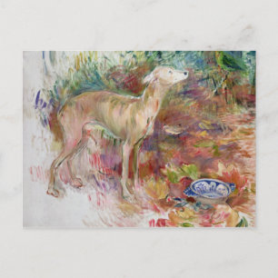 Laerte the Greyhound, 1894 Postkarte