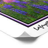 Lafayette Lupine Mindscape Poster (Ecke)