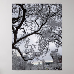 Lafayette Square, Schneebäume Poster