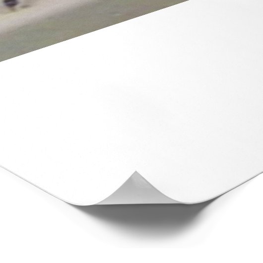 Lagarto Póster Poster (Ecke)