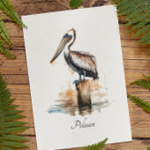 Lage des Pelikans Mitteilungskarte