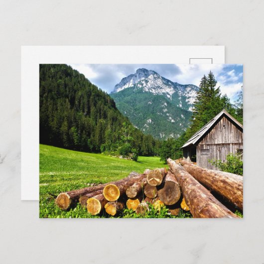 Lager im Wald mit Bergen Postkarte (Vorne/Hinten)