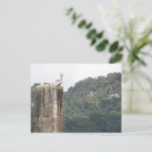 Lago dos Bocas Utuado Puerto Rico Postkarte (Stehend Vorderseite)