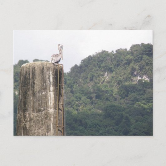 Lago dos Bocas Utuado Puerto Rico Postkarte (Vorderseite)
