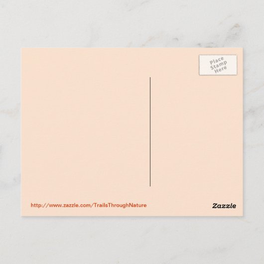 Lago Reflection Lugano Postkarte (Rückseite)