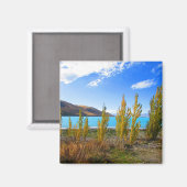 Lago Tekapo New Zealand Magnet (Vorderseite/Rückseite)