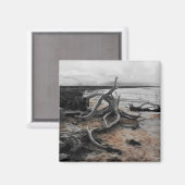 Lago Tyrrell Natural Forces Magnet (Vorderseite/Rückseite)