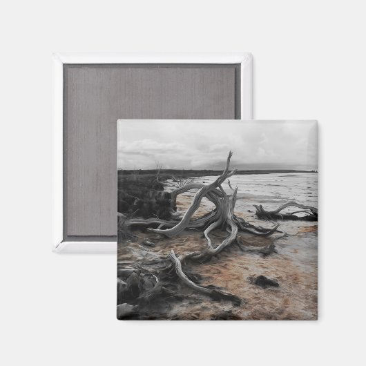 Lago Tyrrell Natural Forces Magnet (Vorderseite/Rückseite)