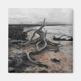 Lago Tyrrell Natural Forces Magnet