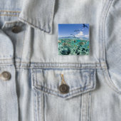 Lagoon Safari mit Stingrochen Button (Beispiel)