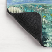 Lagoon Safari mit Stingrochen Mousepad (Ecke)