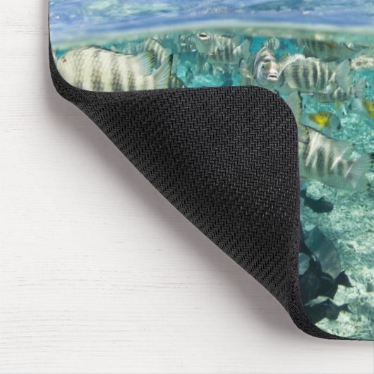 Lagoon Safari mit Stingrochen Mousepad (Ecke)