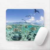 Lagoon Safari mit Stingrochen Mousepad (Mit Mouse)