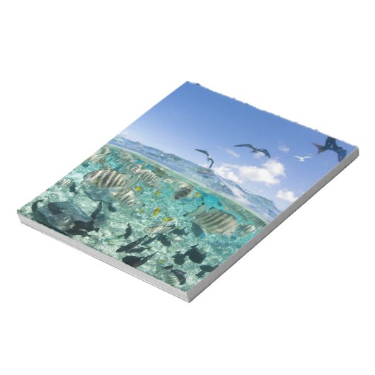 Lagoon Safari mit Stingrochen Notizblock (Rotiert)