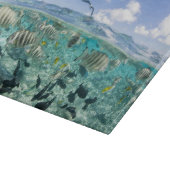 Lagoon Safari mit Stingrochen Schneidebrett (Ecke)