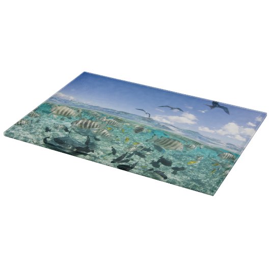 Lagoon Safari mit Stingrochen Schneidebrett (Ecke)