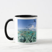 Lagoon Safari mit Stingrochen Tasse (Links)