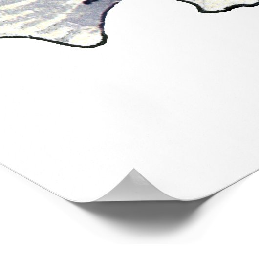 Lagoon Triggerfish Wall Art Poster (Ecke)