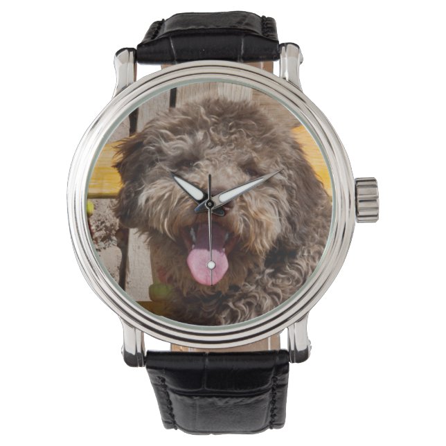 Lagotto Romagnolo auf einer Holzbank Armbanduhr (Vorderseite)