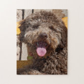 Lagotto Romagnolo auf einer Holzbank Puzzle (Vertikal)
