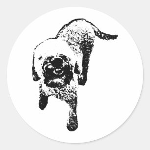Lagotto Romagnolo Aufkleber – Stehender Tintenhund
