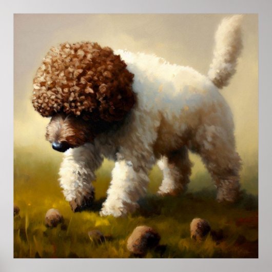 Lagotto Romagnolo Dog Poster (Vorne)