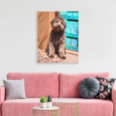 Lagotto Romagnolo durch eine blaue Tür Gewartet Leinwanddruck (Insitu (Wohnzimmer))