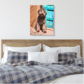 Lagotto Romagnolo durch eine blaue Tür Gewartet Leinwanddruck (Insitu (Schlafzimmer))
